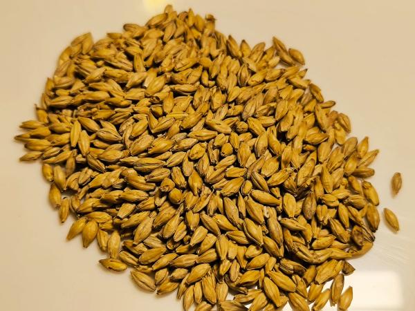 Weyermann® Buchenrauchmalz Gerste